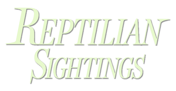 Real Reptilian Sightings in History